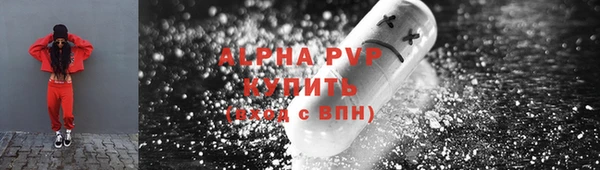 прущие грибы Каменск-Шахтинский
