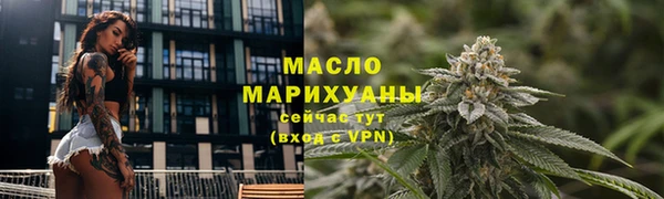 винт Инта