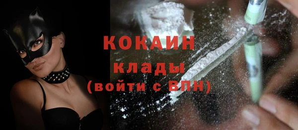 гидропоника Иннополис