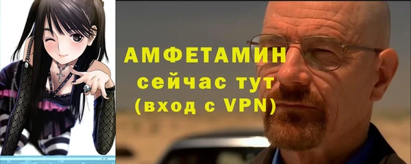 2c-b Инсар