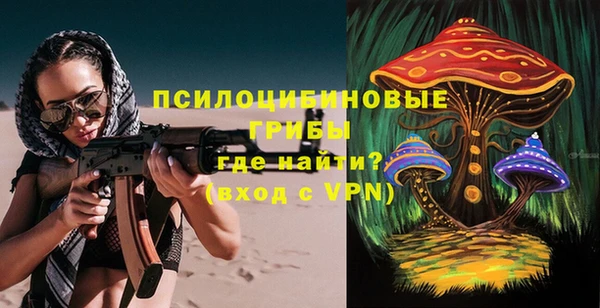 винт Инта