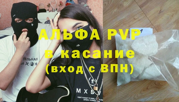 2c-b Инсар