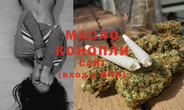 2c-b Инсар