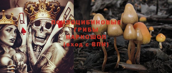 гидропоника Иннополис