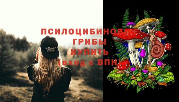 винт Инта