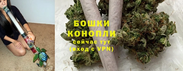 винт Инта