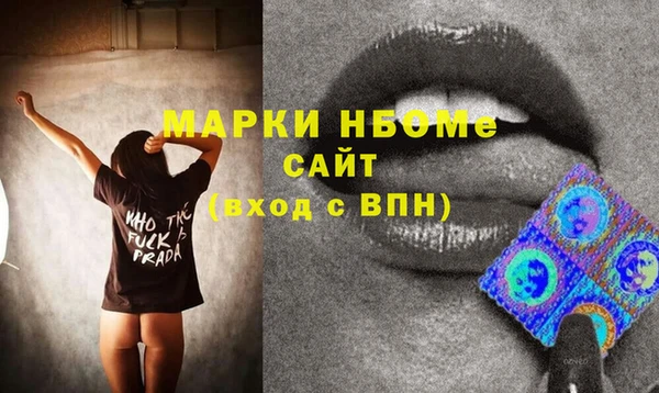 2c-b Инсар