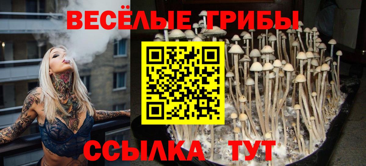 Туапсе  закладка  Вход с VPN  Галлюциногенные грибы GOLDEN TEACHER  Псилоцибиновые грибы мицелий 