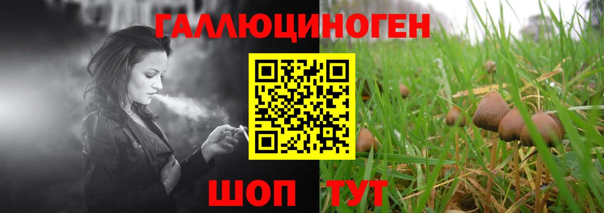 Псилоцибиновые грибы GOLDEN TEACHER Туапсе